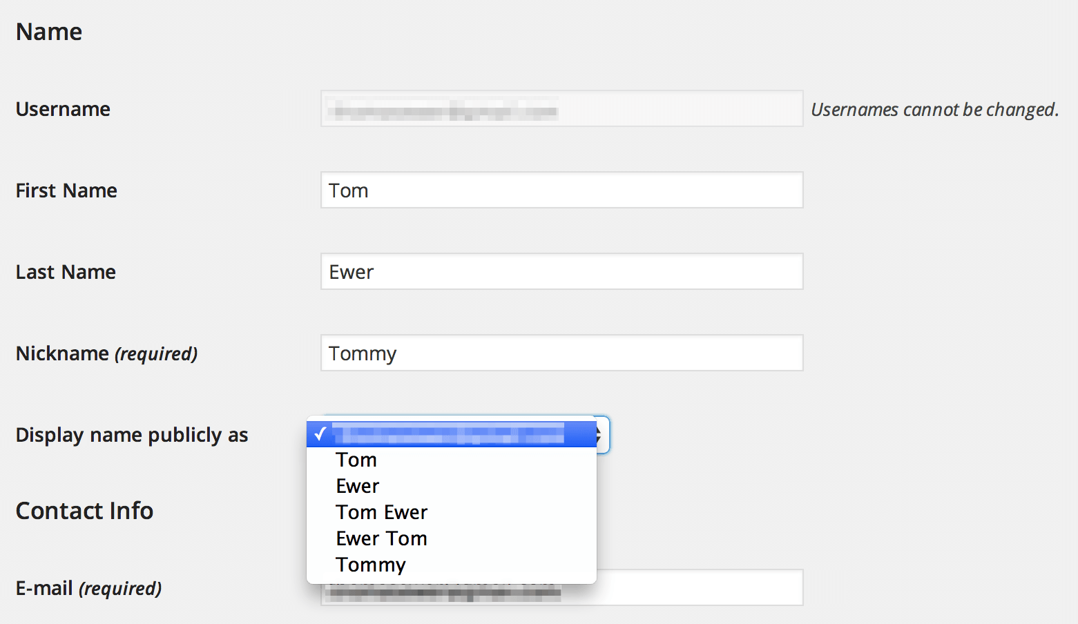Display name options