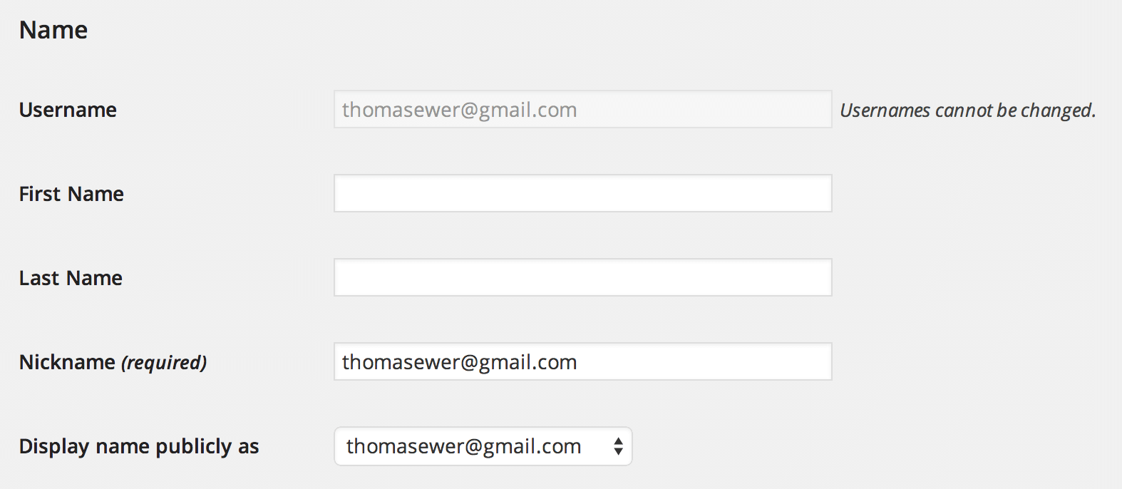 WordPress Profile Name section