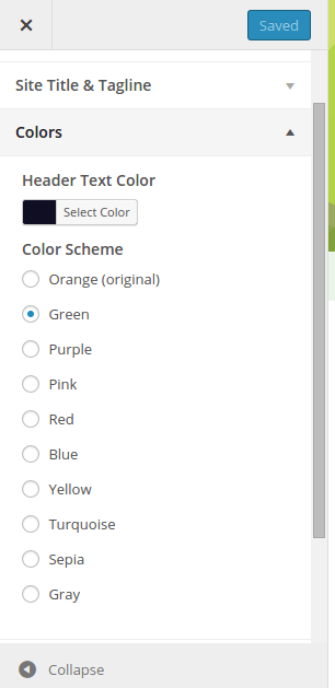 Holi Color Options